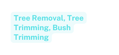Tree Removal Tree Trimming Bush Trimming